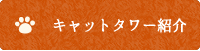 キャットタワー紹介
