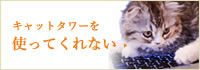 キャットタワーを使ってくれない