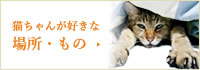 猫が好きな場所・もの