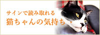 サインで読み取れる猫ちゃんの気持ち